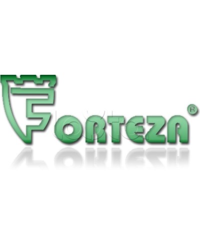 Плата сменная Forteza Плата БГр-4 в Люберцах Устройства защиты операционных процессоров (ОПС) Pintop.ru