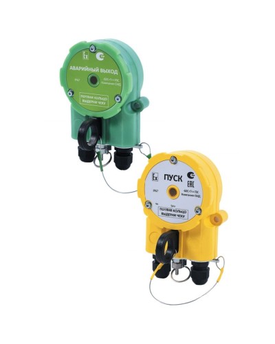 Извещатель Эрвист УДП 535 Халзан П АВАРИЙНЫЙ ВЫХОД -АМ в Люберцах Пожарные извещатели Pintop.ru